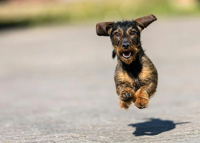 3-Sterne-Hotel: Holiday Inn - The Niu, Sparrow Regensburg By Ihg