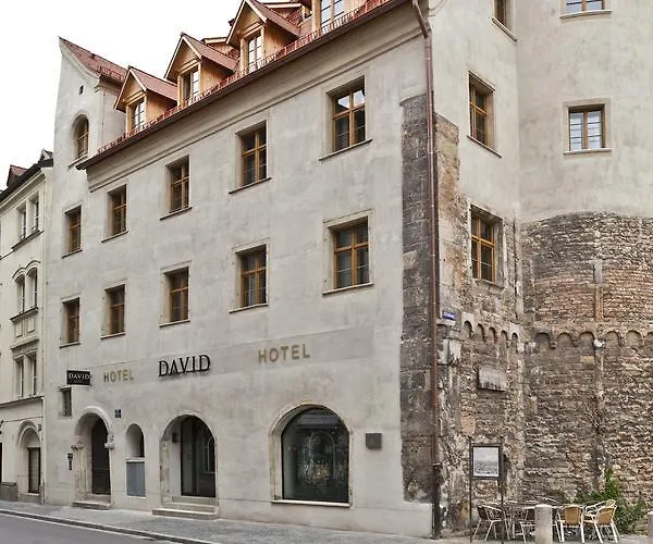 Hotel David an der Donau